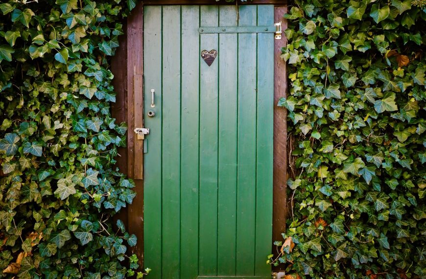 How Locksmiths Tackle Toilet Door Issues?