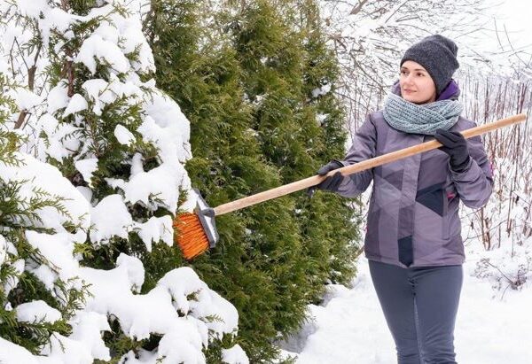 Garden Maintenance Methods in Winter: A Guide to Winterizing Your Garden